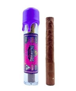 Packwoods Purple Punch Kaufen